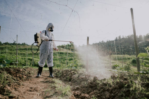 Pest Control Cost in Hopwood, PA