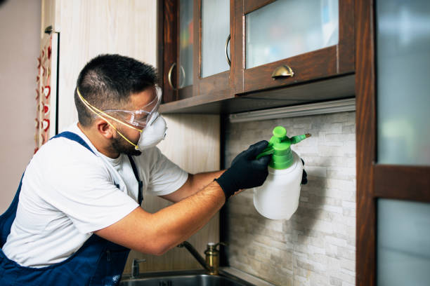 Best Bed Bug Extermination  in Hopwood, PA