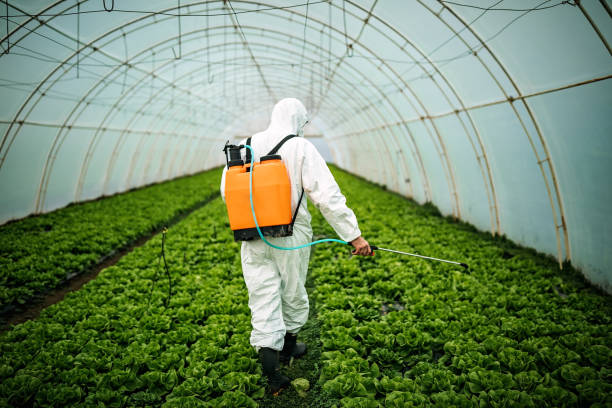 Best Ant Control Services  in Hopwood, PA
