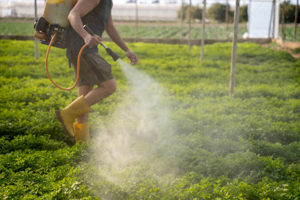 Best Commercial Pest Control Services  in Hopwood, PA
